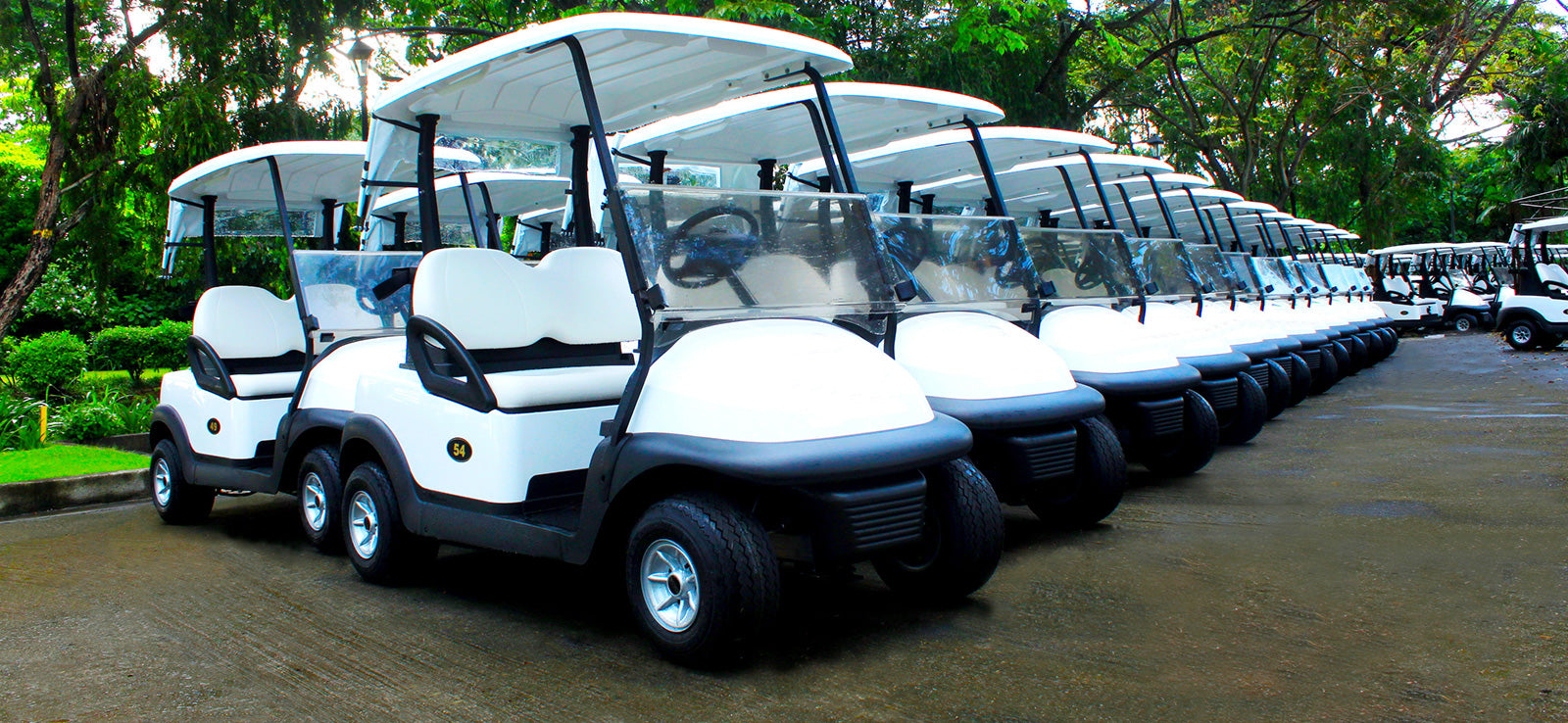 Golf Cart Tires and Wheels